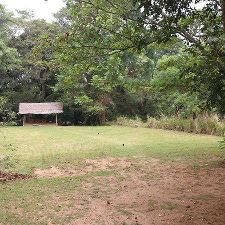 Wildescape, Yala Blocks 3 & 5 Villa Buttala Bagian luar foto