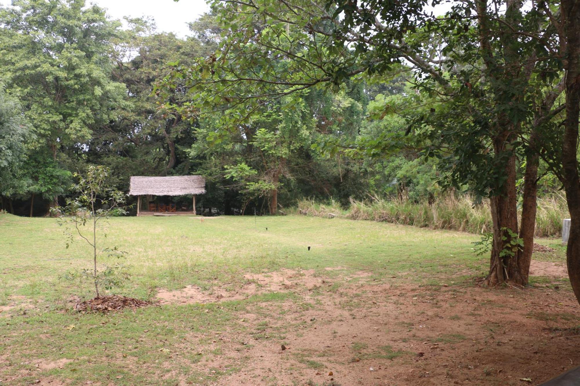 Wildescape, Yala Blocks 3 & 5 Villa Buttala Bagian luar foto