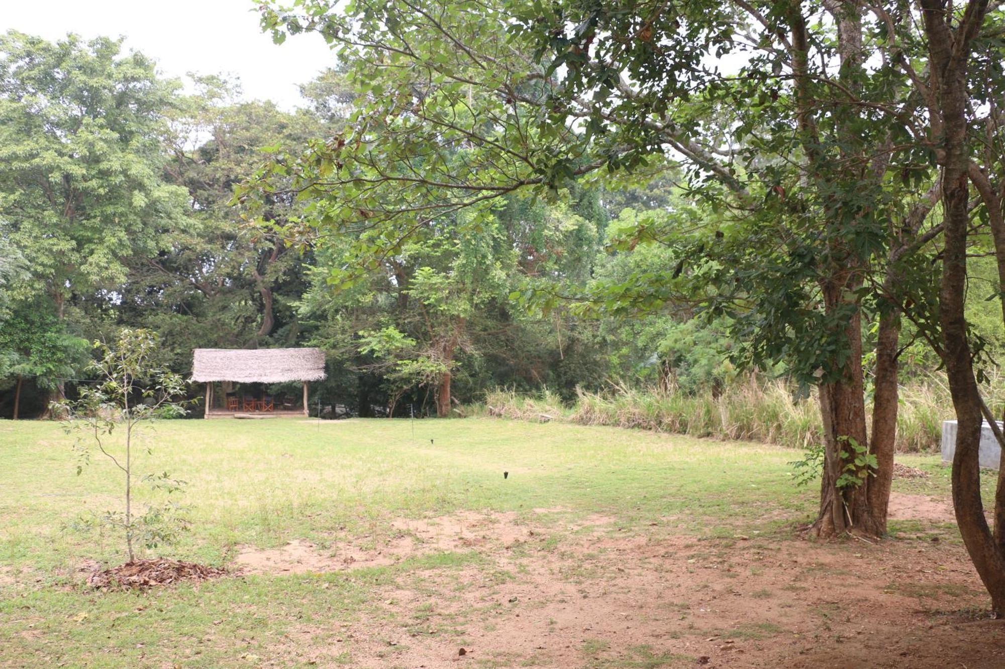 Wildescape, Yala Blocks 3 & 5 Villa Buttala Bagian luar foto