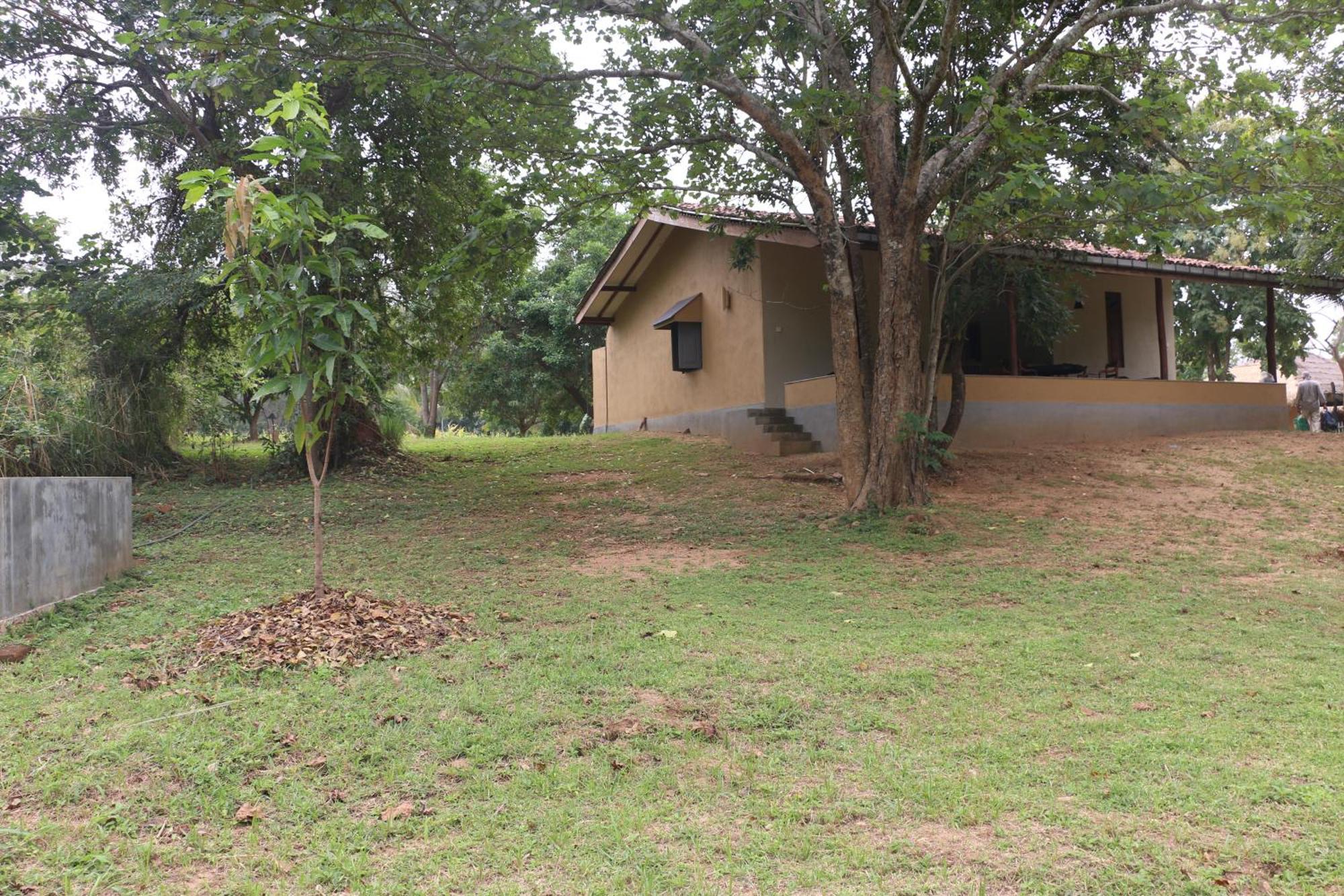 Wildescape, Yala Blocks 3 & 5 Villa Buttala Bagian luar foto