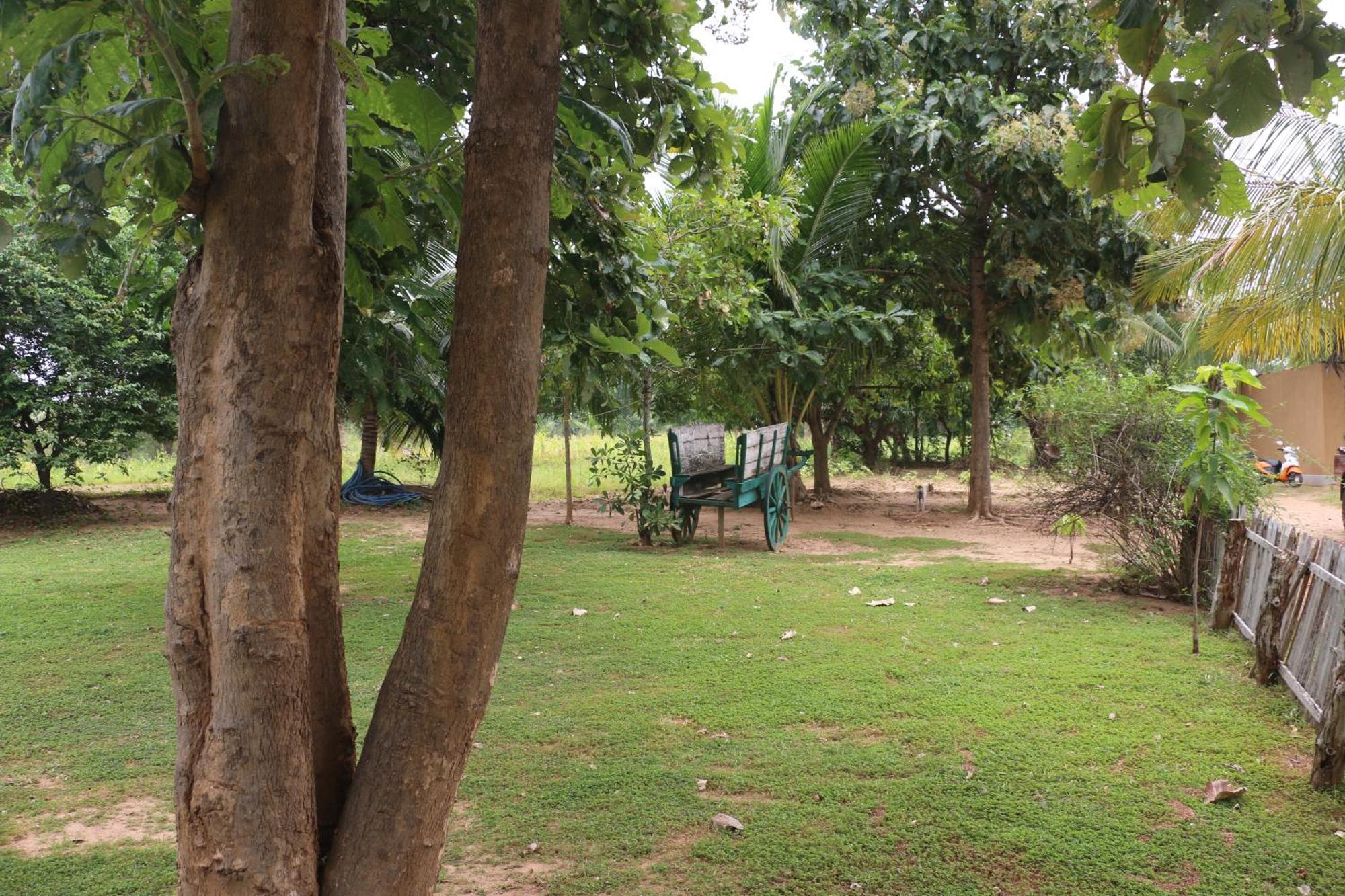 Wildescape, Yala Blocks 3 & 5 Villa Buttala Bagian luar foto