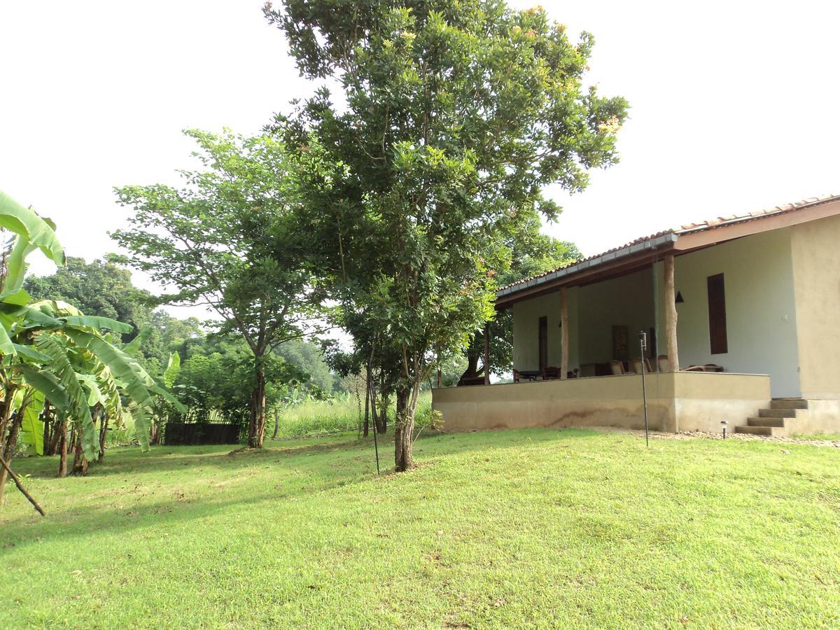 Wildescape, Yala Blocks 3 & 5 Villa Buttala Bagian luar foto