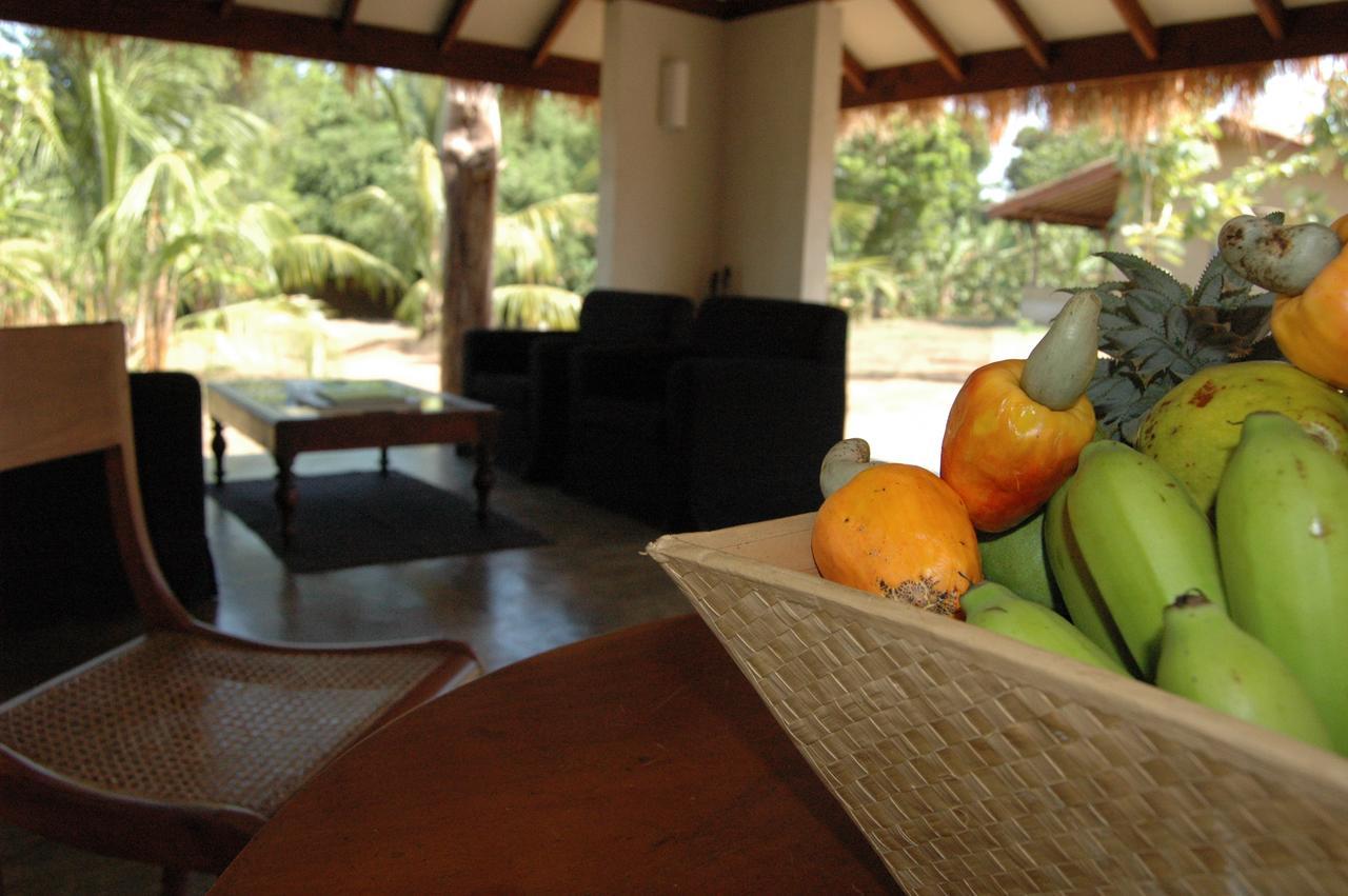 Wildescape, Yala Blocks 3 & 5 Villa Buttala Bagian luar foto