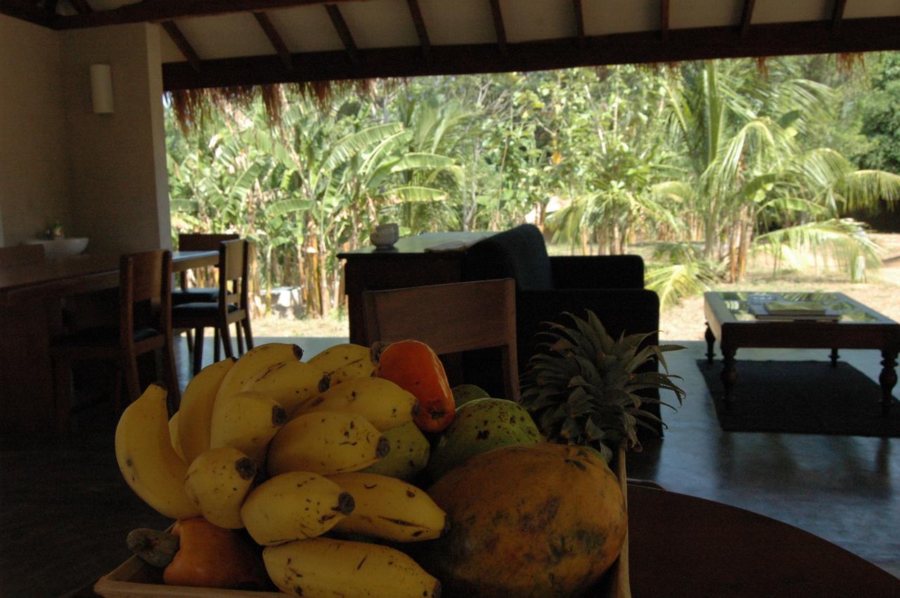 Wildescape, Yala Blocks 3 & 5 Villa Buttala Bagian luar foto