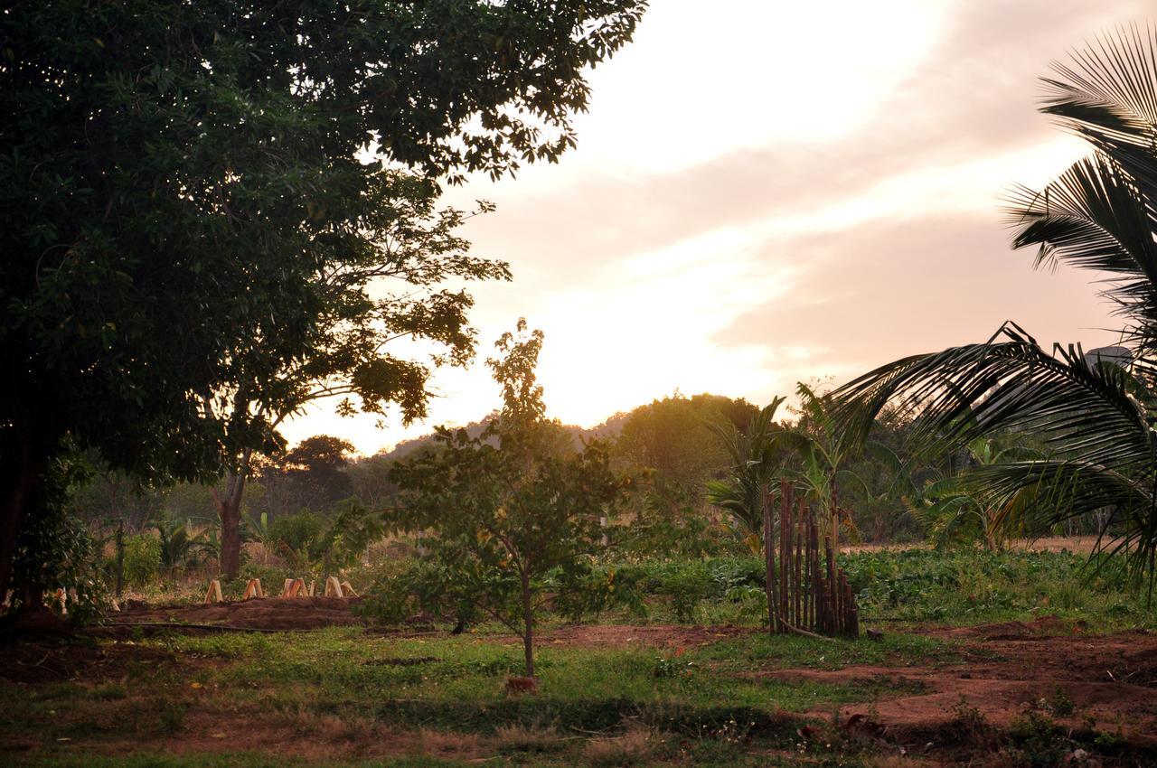 Wildescape, Yala Blocks 3 & 5 Villa Buttala Bagian luar foto