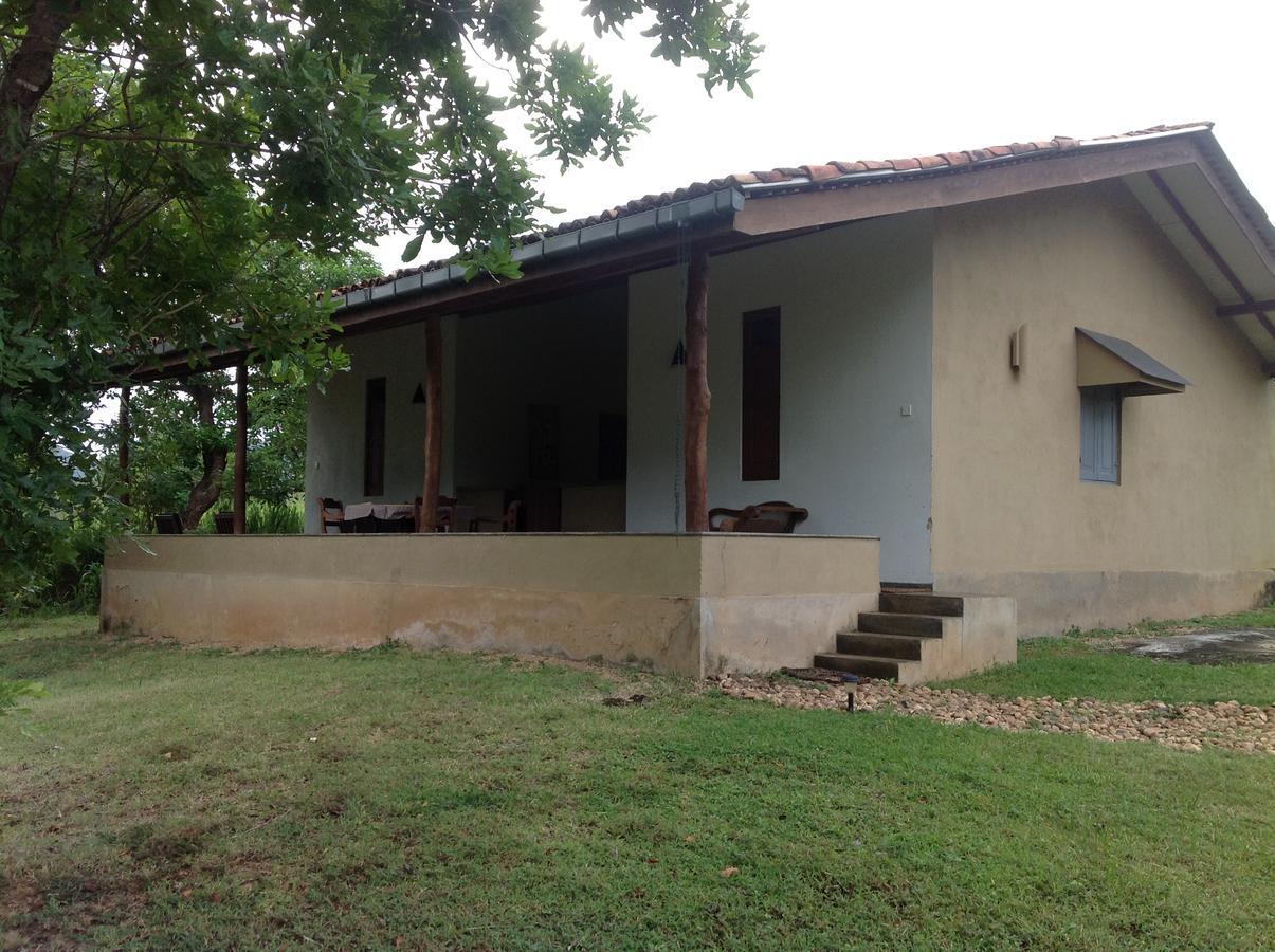 Wildescape, Yala Blocks 3 & 5 Villa Buttala Bagian luar foto